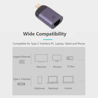 USB-C / Type-C Male to 100M RJ45 Female Adapter, 100M RJ45 Female Adapter