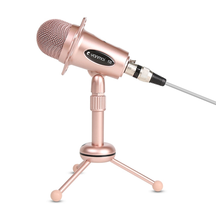 Compatible with PC and Mac for  Live Broadcast Show, KTV, etc.