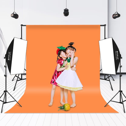 PULUZ Softbox Lighting Kit 2 PCS 50x70cm Professional Photo Studio Photography Light Equipment with 8 x E27 20W E27 Socket Bulb Photography Lighting Kit for Filming Portrait Shooting / Fashion Advertising Photography, 2 PCS 4 x Bulb Kit EU Plug...