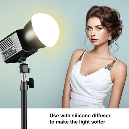 PULUZ 60W Studio Video Light 2500K-6500K Dual Color Temperature Professional Photography Fill Light, 60W Studio Video Light
