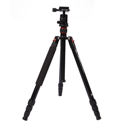 Triopo MT-2504C Adjustable Portable Aluminum Tripod with NB-1S Ball Head for Canon Nikon Sony DSLR Camera, MT-2504C (Black), MT-2504C (Gold)