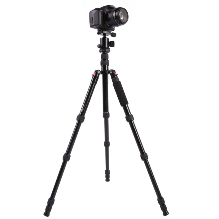 Triopo MT-2505C Adjustable Portable Aluminum Tripod with NB-1S Ball Head for Canon Nikon Sony DSLR Camera, MT-2505C (Black), MT-2505C (Gold)