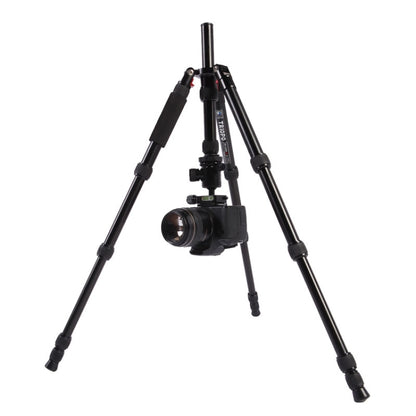 Triopo MT-2505C Adjustable Portable Aluminum Tripod with NB-1S Ball Head for Canon Nikon Sony DSLR Camera, MT-2505C (Black), MT-2505C (Gold)