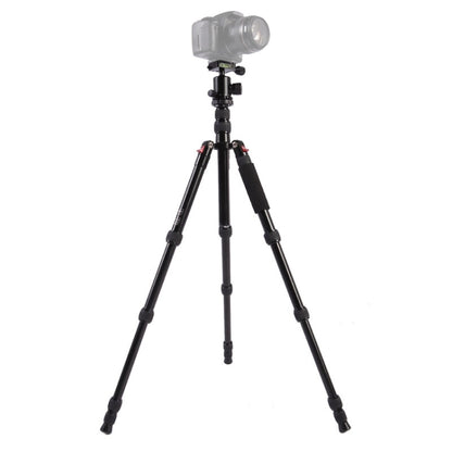 Triopo MT-2505C Adjustable Portable Aluminum Tripod with NB-1S Ball Head for Canon Nikon Sony DSLR Camera, MT-2505C (Black), MT-2505C (Gold)