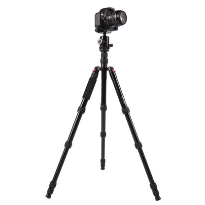 Triopo MT-2805C Adjustable Portable Aluminum Tripod with NB-2S Ball Head for Canon Nikon Sony DSLR Camera, MT-2805C (Black), MT-2805C (Gold)