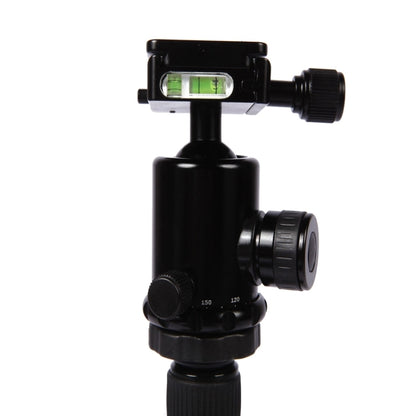 Triopo MT-2805C Adjustable Portable Aluminum Tripod with NB-2S Ball Head for Canon Nikon Sony DSLR Camera, MT-2805C (Black), MT-2805C (Gold)