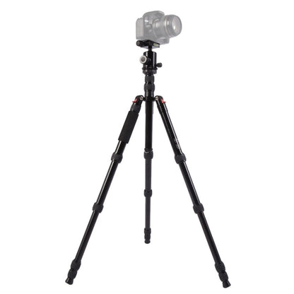 Triopo MT-2805C Adjustable Portable Aluminum Tripod with NB-2S Ball Head for Canon Nikon Sony DSLR Camera, MT-2805C (Black), MT-2805C (Gold)