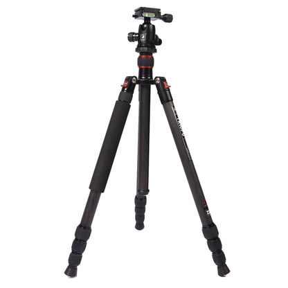Triopo GT-2504X8.C Adjustable Portable Carbon Fiber Tripod with B-1 Aluminum Ball Head for Canon Nikon Sony DSLR Camera, GT-2504X8.C (Black), GT-2504X8.C (Gold)