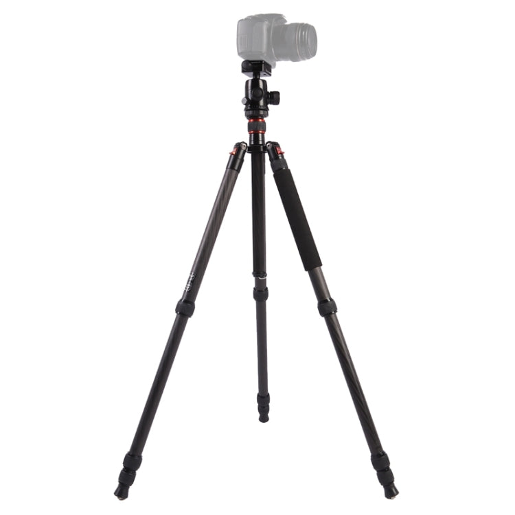 Triopo GT-2804X8.C Adjustable Portable Carbon Fiber Tripod with B-2 Aluminum Ball Head for Canon Nikon Sony DSLR Camera, GT-2804X8.C (Black), GT-2804X8.C (Gold)