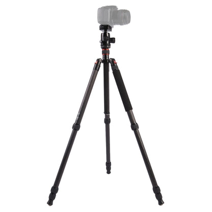 Triopo GT-2804X8.C Adjustable Portable Carbon Fiber Tripod with B-2 Aluminum Ball Head for Canon Nikon Sony DSLR Camera, GT-2804X8.C (Black), GT-2804X8.C (Gold)
