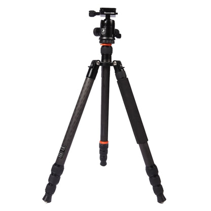 Triopo GT-2804X8.C Adjustable Portable Carbon Fiber Tripod with B-2 Aluminum Ball Head for Canon Nikon Sony DSLR Camera, GT-2804X8.C (Black), GT-2804X8.C (Gold)