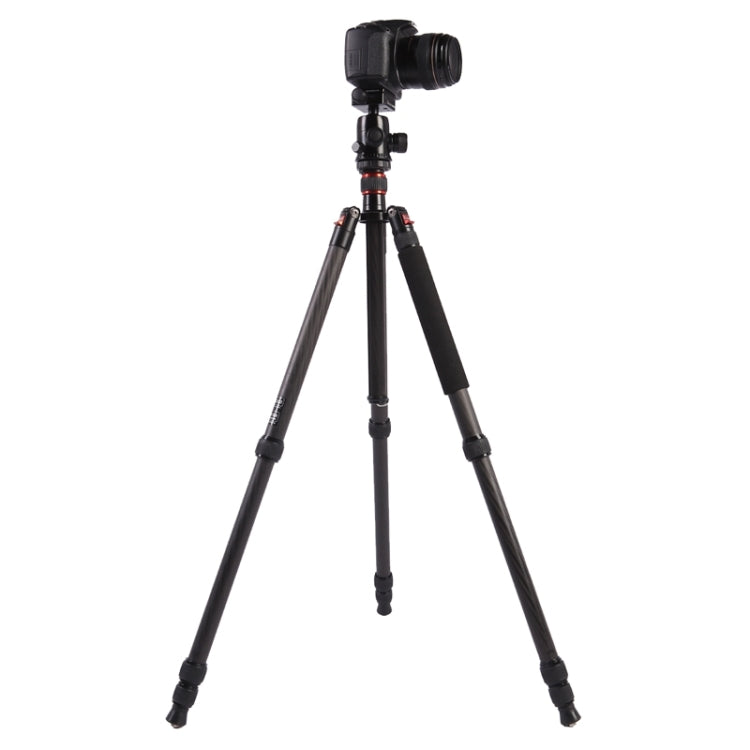Triopo GT-2804X8.C Adjustable Portable Carbon Fiber Tripod with B-2 Aluminum Ball Head for Canon Nikon Sony DSLR Camera, GT-2804X8.C (Black), GT-2804X8.C (Gold)