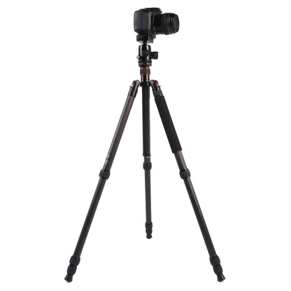 Triopo GT-2804X8.C Adjustable Portable Carbon Fiber Tripod with B-2 Aluminum Ball Head for Canon Nikon Sony DSLR Camera, GT-2804X8.C (Black), GT-2804X8.C (Gold)