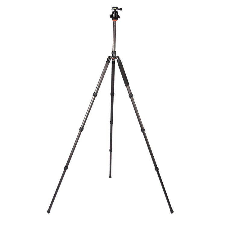 Triopo GT-2804X8.C Adjustable Portable Carbon Fiber Tripod with B-2 Aluminum Ball Head for Canon Nikon Sony DSLR Camera, GT-2804X8.C (Black), GT-2804X8.C (Gold)