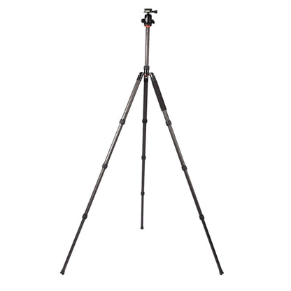 Triopo GT-2804X8.C Adjustable Portable Carbon Fiber Tripod with B-2 Aluminum Ball Head for Canon Nikon Sony DSLR Camera, GT-2804X8.C (Black), GT-2804X8.C (Gold)