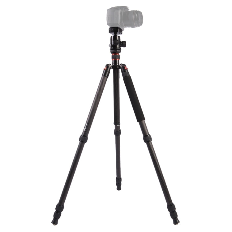 Triopo GT-2804X8.C Adjustable Portable Carbon Fiber Tripod with B-2 Aluminum Ball Head for Canon Nikon Sony DSLR Camera, GT-2804X8.C (Black), GT-2804X8.C (Gold)