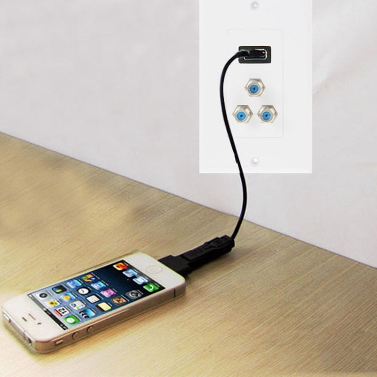 USB 2.0 Female Plug + 3 F Female Plugs Wall Plate Panel