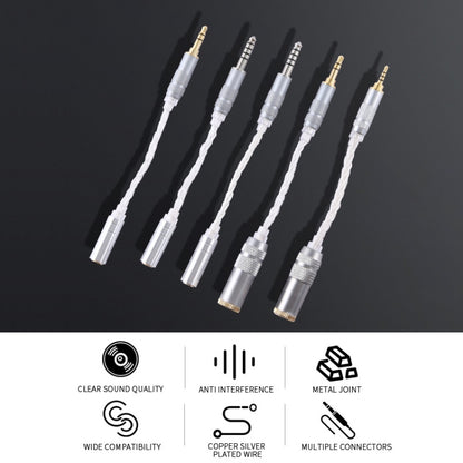 ZS0021 4.4mm Male to 2.5mm Female Balance Adapter Cable, 4.4mm Male to 2.5mm Female