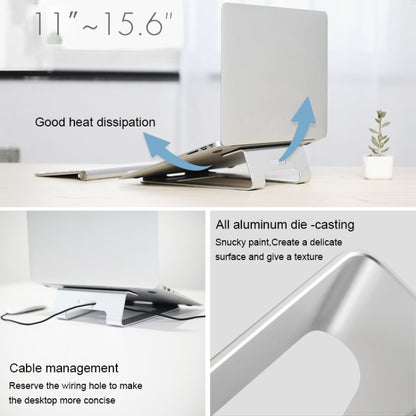 AP-1 Aluminum Alloy Laptop Stand