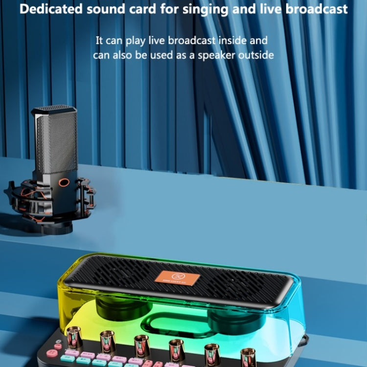 C18 Home Sound Card Karaoke Audio Integrated Microphone Equipment Full Set, C18