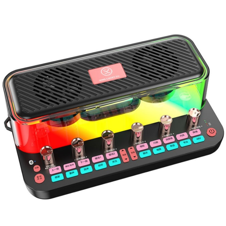 C18 Home Sound Card Karaoke Audio Integrated Microphone Equipment Full Set, C18