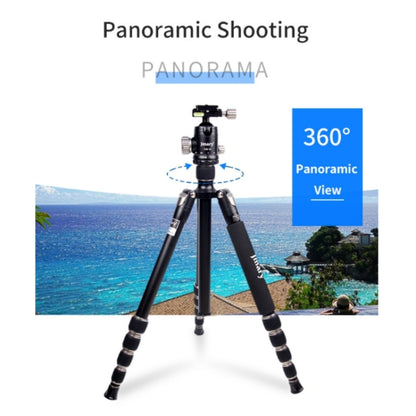JMARY KT255+NB36 Aluminum Alloy Outdoor Shooting Tripod Detachable SLR Camera Tripod, KT255+NB36