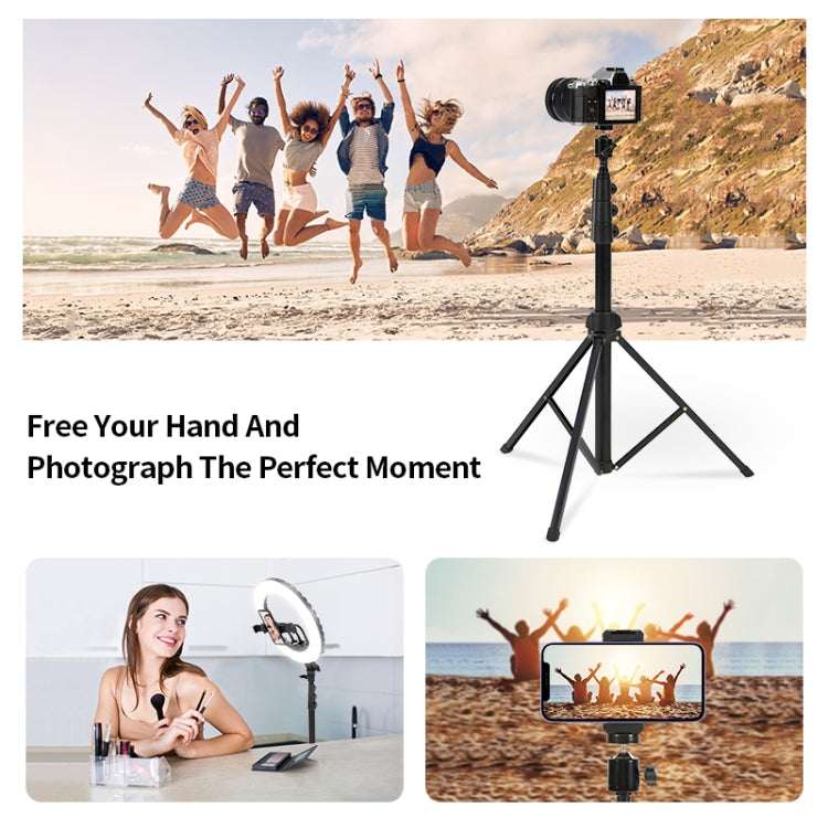 JMARY MT38 Travel Tripod Phone Holder 1.68m Telescopic Vlogging Camera Mount Tripod Stand, MT38