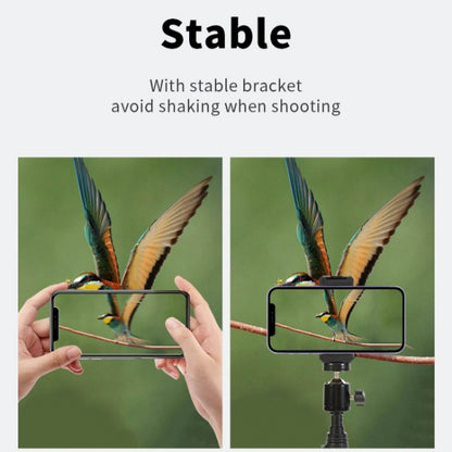 JMARY MT38 Travel Tripod Phone Holder 1.68m Telescopic Vlogging Camera Mount Tripod Stand, MT38