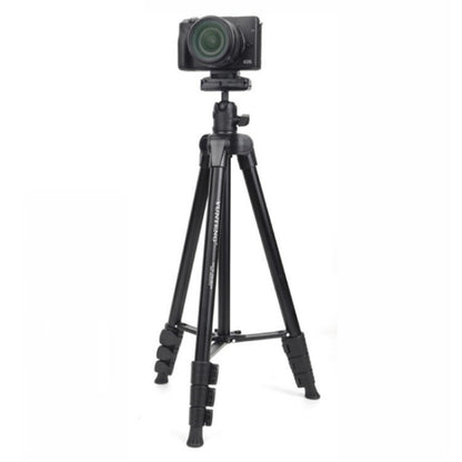 YUNTENG VCT-580 DSLR Camera Telescopic Tripod Mount with 1 / 4 Screw, VCT-580