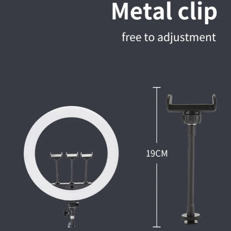 JMARY FM-21R With Remote Control Phone Clip 21-inch Dimmable LED Ring Light, US Plug, EU Plug