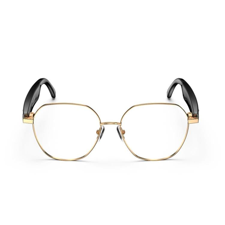 W100B Smart Glasses, Support AI Conversation / AI Intelligent Translation / Bluetooth Call
