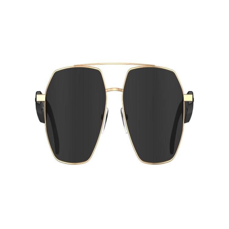W100C Smart Glasses, Support AI Conversation / AI Intelligent Translation / Bluetooth Call