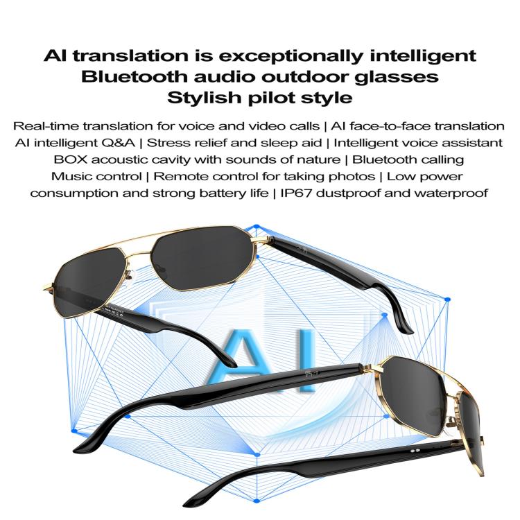 W100C Smart Glasses, Support AI Conversation / AI Intelligent Translation / Bluetooth Call