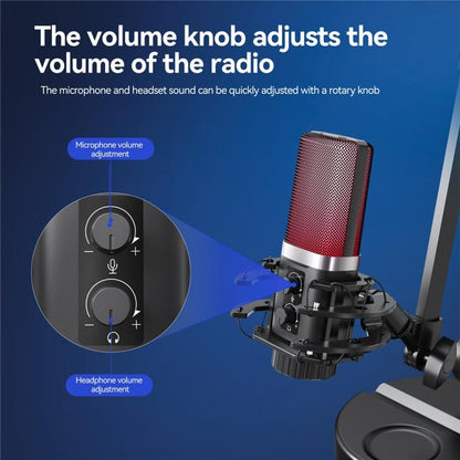 YANMAI X3R For Live Streaming / Recording RGB Lighting Desktop Noise Reduction Capacitor Microphone