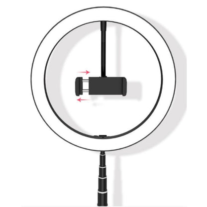 Portable Collapsible Studio-Level Professional Fill Light Mobile Phone Bracket LED Ring Light