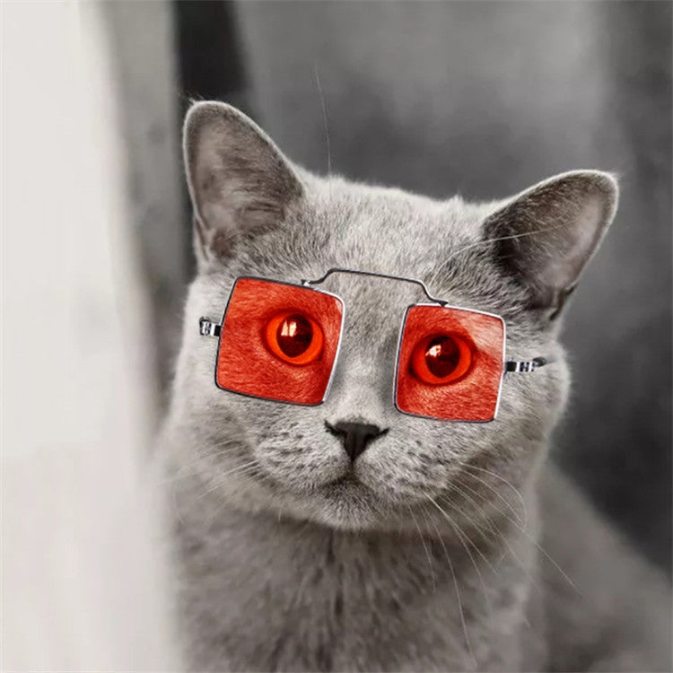 Pet Jewelry Cat Photo Funny Props Personality Glasses
