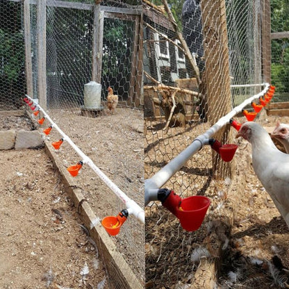 Adjustable Vreeding Equipment Export Type Drinking Bowl Poultry Drinker, Drinking Bowl Poultry Drinker