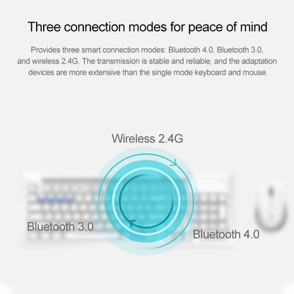 Rapoo X336M Wireless Mouse and Keyboard Set, Black, White