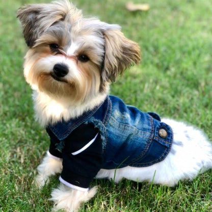 Retro Personality Denim Small Vest Pet Dog Clothes Pet Jacket, L, XL, XS, M