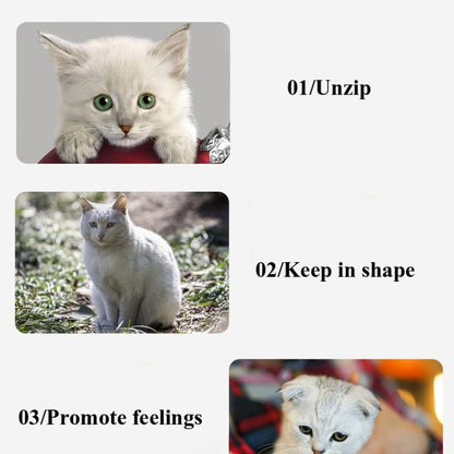 Pet Cat Toy Set Funny Cat Stick Plush Mouse Combo Toy,Specification:, No.11 Set, No.13 Set, No. 15 Set