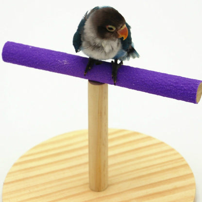 Creative Wooden Parrot Bird Frosted Stand Toy, Small, Large