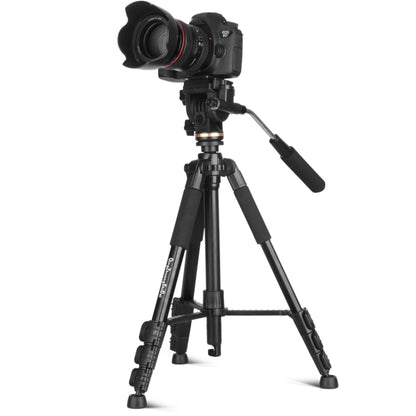QingZhuangShiDai Q111S Aluminum Alloy Mobile Phone Camera Photography Tripod, Q111S(Black)