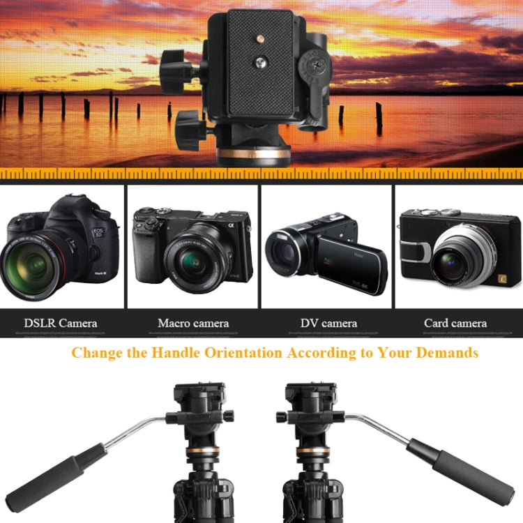QingZhuangShiDai Q111S Aluminum Alloy Mobile Phone Camera Photography Tripod, Q111S(Black)