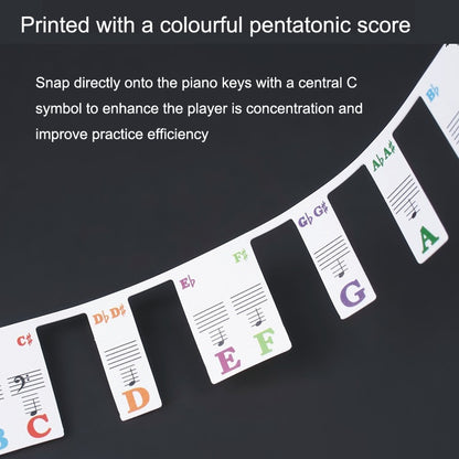 Children Beginner Piano Keyboard Color Stickers Musical Instrument Accessories, Imitation Piano Keys 61 Keys, Piano Keys 61 keys