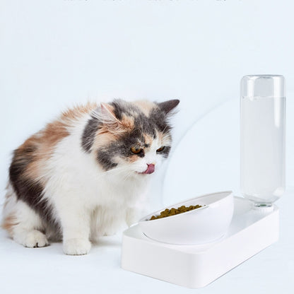 Pet Bowl Anti-tipping Automatic Drinking Water Feeding Bowl, Small