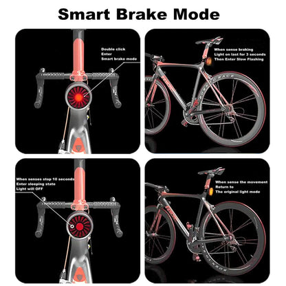 Bicycle Smart Sensor Brake Light USB Tail Light Warning Light, Black, Red, Blue, Titanium, Silver