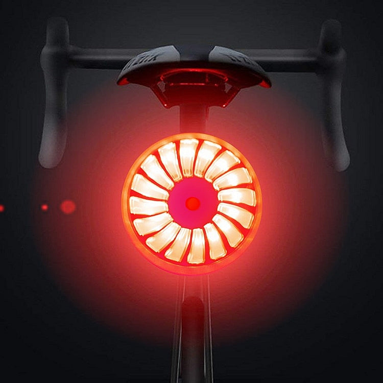 Bicycle Smart Sensor Brake Light USB Tail Light Warning Light, Black, Red, Blue, Titanium, Silver