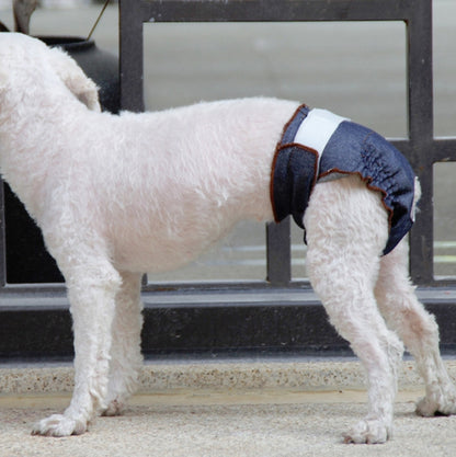 Anti-sorrow Female Dog Physiological Pants Urine-proof And Wet Pet Leak-proof Underwear, S, M, L, XL