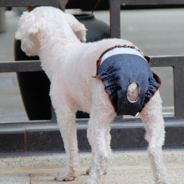 Anti-sorrow Female Dog Physiological Pants Urine-proof And Wet Pet Leak-proof Underwear, S, M, L, XL