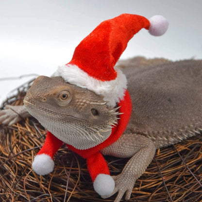 Lizard Crawling Pet Out Christmas Dress Up, Hat+Scarf, Hat+Scarf+Traction Rope